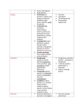 Ląstelės konspektas 19 puslapis