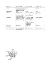 Ląstelės konspektas 8 puslapis