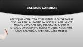 Baltasis gandras 2 puslapis