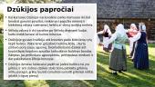 Dzūkijos regionas 3 puslapis