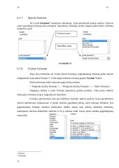 Microsoft Excel skaičių formatai 10 puslapis