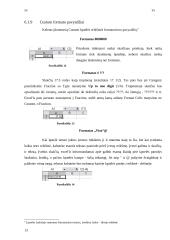 Microsoft Excel skaičių formatai 12 puslapis