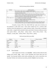 Microsoft Excel skaičių formatai 13 puslapis