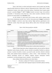 Microsoft Excel skaičių formatai 15 puslapis