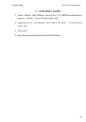 Microsoft Excel skaičių formatai 17 puslapis