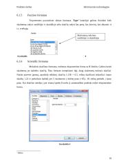 Microsoft Excel skaičių formatai 9 puslapis