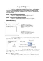 Microsoft PowerPoint ir programos naudojimas kasdienybėje 6 puslapis