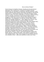 Kas yra doras žmogus? (Donelaitis)