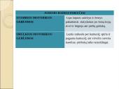 4-5 metų vaikų fizinė raida 14 puslapis