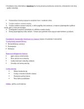 Konspektas apie feodalizmą 2 puslapis