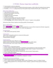 Konspektas apie feodalizmą 3 puslapis