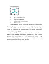 Microsoft Word naudojimo pagrindai 6 puslapis