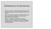   Funikulieriai: Žaliakalnio ir Aleksoto - tarpukario architektūra 2 puslapis