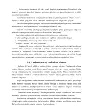 Vandentiekių sistemos 5 puslapis