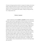 Miegas bei miego sutrikimai 11 puslapis