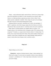 Miegas bei miego sutrikimai 3 puslapis