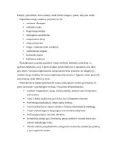 Miegas bei miego sutrikimai 5 puslapis