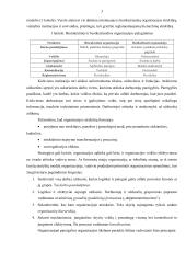 Įmonės valdymas 3 puslapis