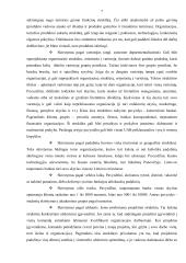 Įmonės valdymas 7 puslapis