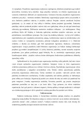 Įmonės valdymas 8 puslapis