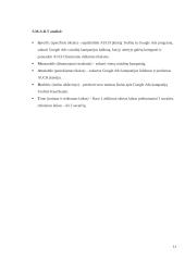 Race 2. Pramonės agentūra 11 puslapis