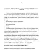 Vidaus apdailos medžiagų keliamas pavojus darbuotojų saugai ir sveikatai 5 puslapis