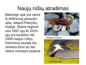 Atradimai gamtoje 11 puslapis