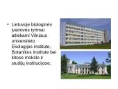 Atradimai gamtoje 13 puslapis