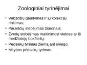 Atradimai gamtoje 15 puslapis