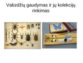 Atradimai gamtoje 16 puslapis