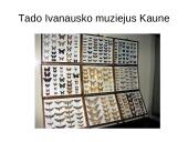 Atradimai gamtoje 17 puslapis