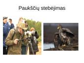 Atradimai gamtoje 18 puslapis