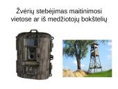 Atradimai gamtoje 19 puslapis