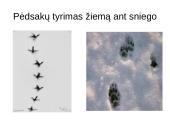 Atradimai gamtoje 20 puslapis