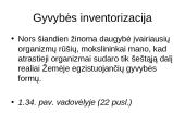 Atradimai gamtoje 3 puslapis