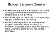 Atradimai gamtoje 4 puslapis