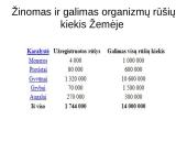 Atradimai gamtoje 5 puslapis