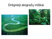 Atradimai gamtoje 6 puslapis