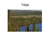 Atradimai gamtoje 8 puslapis