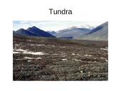 Atradimai gamtoje 9 puslapis