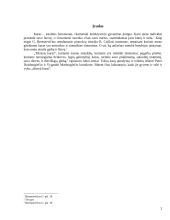 Militarinės Lietuvos kultūros atspindžiai Petro Duisburgiečio ir Vygando Marburgiečio kronikose 2 puslapis