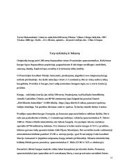 Miniatiūrinė knyga 13 puslapis