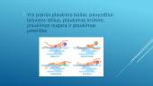 Plaukimo skaidrės 3 puslapis