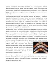 J. Diamond "Ginklai, mikrobai ir plienas. 15 skyrius Jalio tauta. Australijos ir Naujosios Gvinėjos istorija 3 puslapis