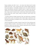 J. Diamond "Ginklai, mikrobai ir plienas. 15 skyrius Jalio tauta. Australijos ir Naujosios Gvinėjos istorija 5 puslapis