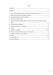 Holokaustas Lietuvoje ir Jurbarko krašte 2 puslapis