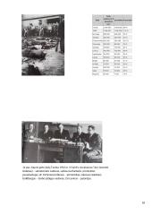 Holokaustas Lietuvoje ir Jurbarko krašte 18 puslapis