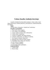 Mitologinis (Kazio Borutos), biblinis (Juliaus Kaupo), ekranizuotas, pasakų ir liaudies įsivaizduojamas velnias 8 puslapis