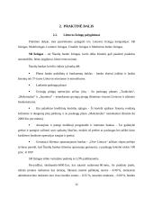 Lizingo kompanijų veikla Lietuvoje 11 puslapis