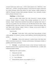 Lizingo kompanijų veikla Lietuvoje 12 puslapis